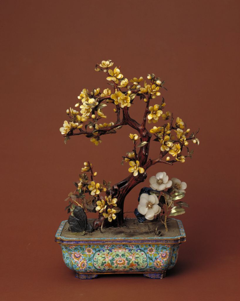 图片[1]-Plum flower and tree bonsai-China Archive